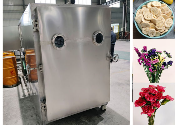 Máquina de secador de congelación de alimentos de vacío eficiente con sistema Leybold
