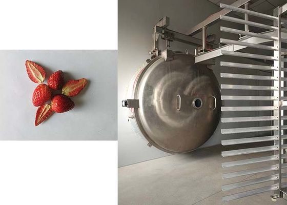 Solución de secado superior para productos industriales con secador de congelación industrial de 1000 kg de precisión