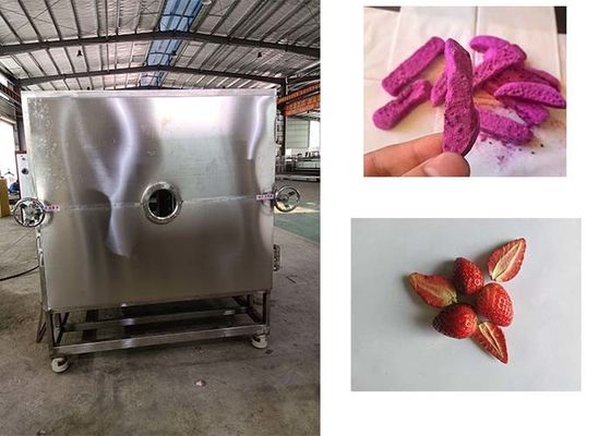 Secador de vegetales automático de alto rendimiento para obtener resultados de secado superiores