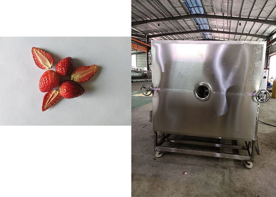 Sistema de refrigeración de Leybold Maquina de secador de congelación de alimentos con vacío confiable