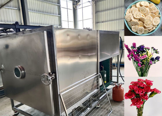 Secador de vegetales por congelación personalizado con modo de operación automático