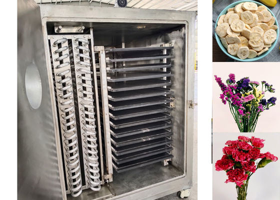 Máquina de secado por congelación industrial con vacío para retención de maxi nutrientes