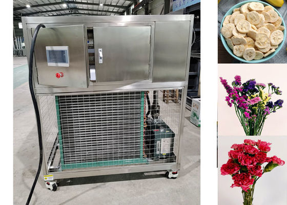 Secador congelador de vegetales industriales a medida Compacto con límite de vacío ≤ 13 Pa