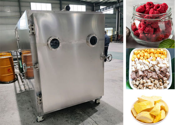 Máquina de secado por congelación industrial Equipo liofilizador de alimentos