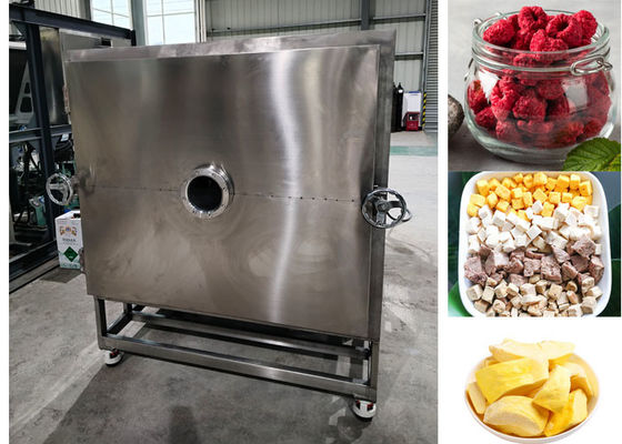 100 kg/partido Máquina de congelación de frutas secas Equipo liofilizador