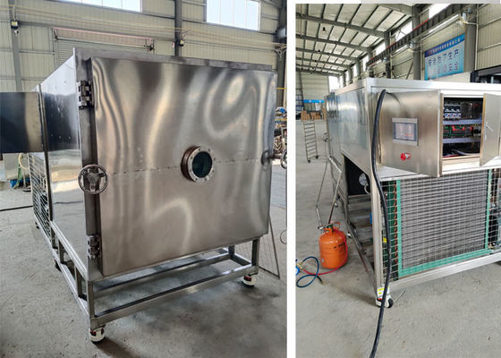50kg100Kg Máquina de liofilización y liofilización de alimentos con vacío