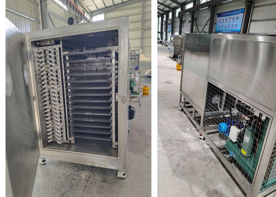 50kg 100Kg 200Kg Capacidad liofilizador Liquidificador Secadora máquina de vacío