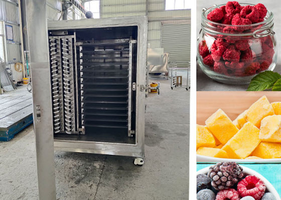 Máquina de secado por congelación con vacío industrial de diseño compacto