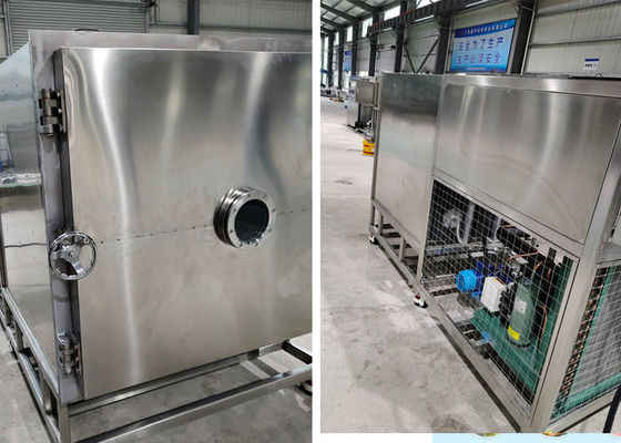 100 kg de lote Diy Stayfresh Secador de congelación con condensación a -45 °C