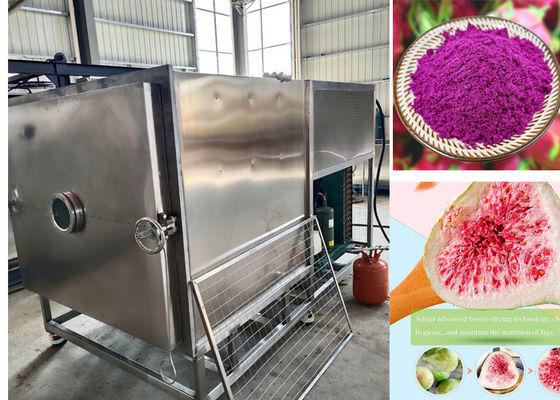 100 kg / lote Stayfresh Secador de congelación con sistema de enfriamiento por aire