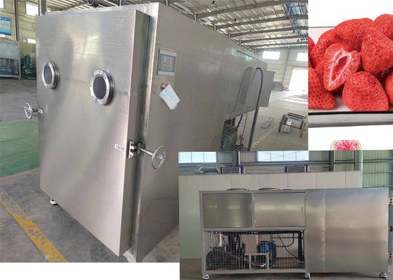 Máquina de secado por congelación industrial Liofilante al vacío con bomba industrial