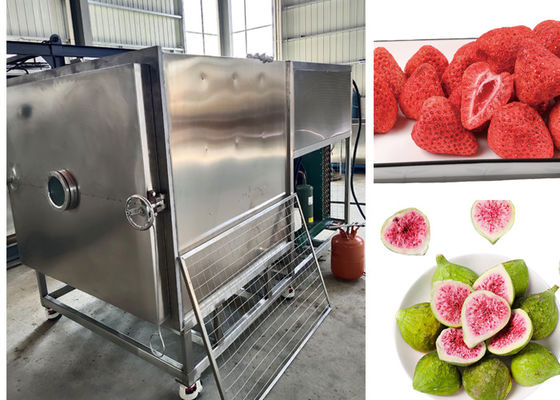 300 kg/partido Alimentos grandes secador de congelación al vacío controlado por PLC