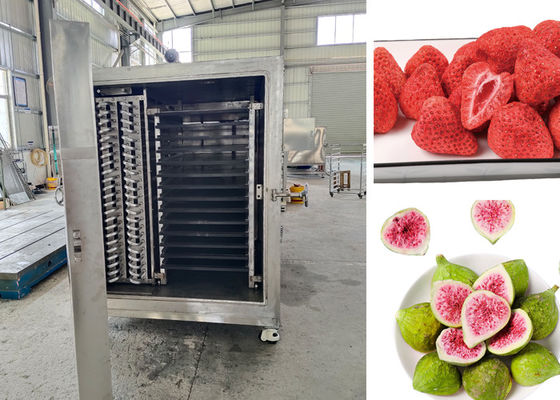 Control remoto de PLC Secador de congelación de alimentos al vacío para el proceso de secado