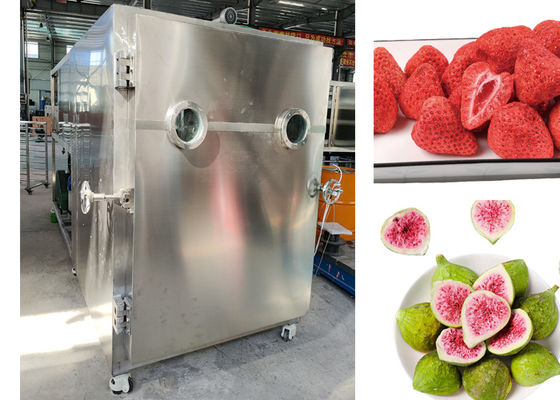 SUS 304 Alimentos para mascotas secador de congelación al vacío liofilizador de carne y frutas