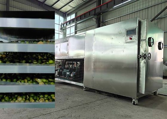 Potente sistema de refrigeración Bitzer / Leybold Secador de congelación para frutas