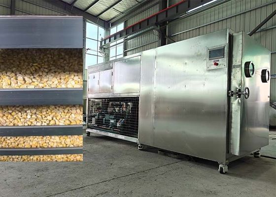 Máquina de secado por congelación de alimentos Máquina de secado de frutas Liofilizador