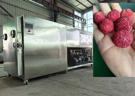 Máquina de secado por congelación a vacío controlada por PLC 30-35 kg/partido