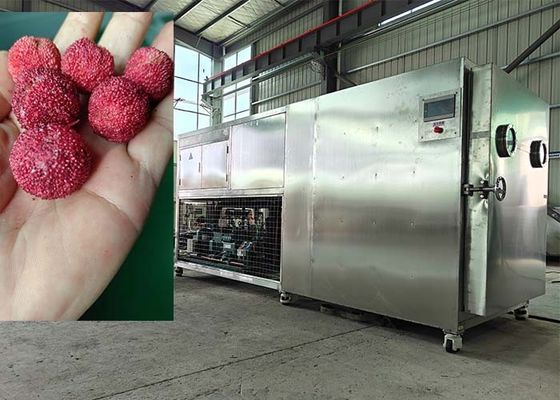 Máquina de liofilización de alimentos inteligente de 200 kg