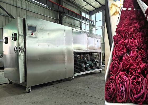 200 kg 500 kg Máquina de liofilización y liofilización de gran capacidad