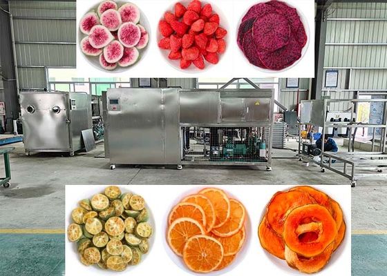 OEM / ODM de alimentos de vacío de secador de congelación Experiencia inigualable de secado por congelación de rendimiento