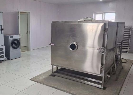Revolucionar el proceso de secado de verduras con el secador congelado de verduras