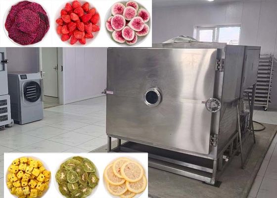 Secador de vegetales por congelación La opción perfecta para secar vegetales a granel