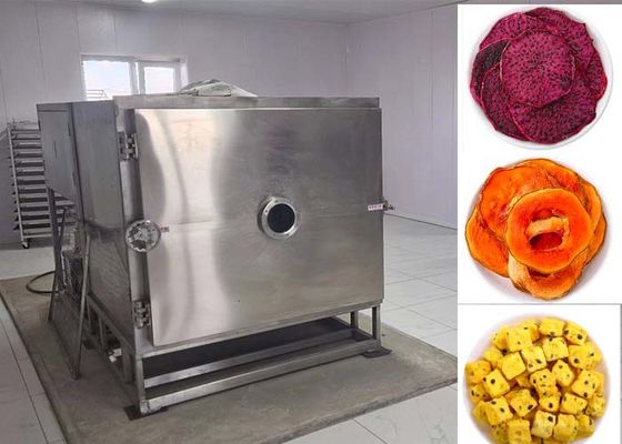 Secador congelador de verduras El método de secado perfecto para una variedad de verduras