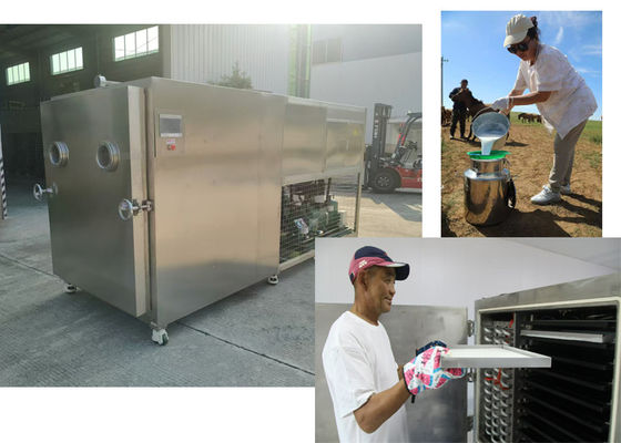 Capacidad de 100 kg/partido Secador congelador de alimentos y verduras a vacío