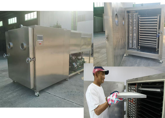 Calentamiento eléctrico Máquina de secado por congelación de vegetales industriales