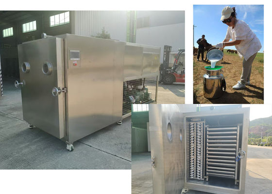 Diseño compacto de alimentos y verduras secador de congelación con Baosi o Bitzer