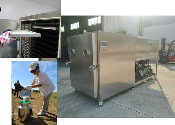 Seca congeladora de verduras de 100 kg de capacidad para varios tipos de verduras
