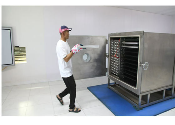 Modo de funcionamiento automático 100Kg secador congelado de verduras para secado rápido