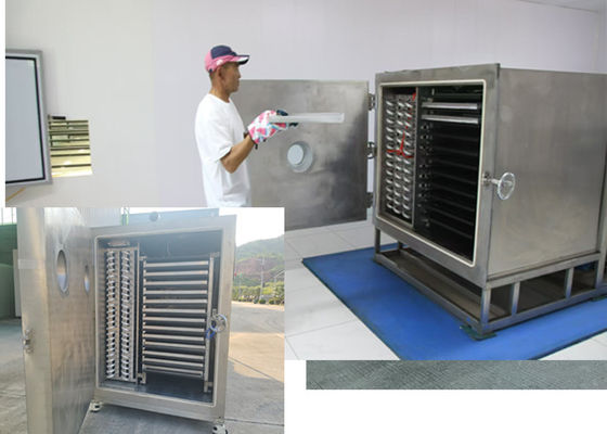 Personaliza el secador de vegetales industriales con capacidad de 100 kg