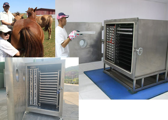 Secador congelador de verduras al vacío con unidad de refrigeración