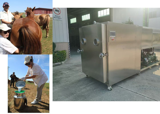 Máquina de secado por congelación de vegetales industriales de 100 kg 10KW/h