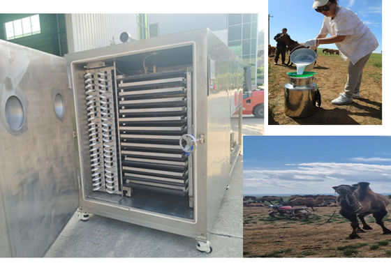 Máquina de congelación de frutas secas de diseño compacto con sistema de refrigeración Bitzer