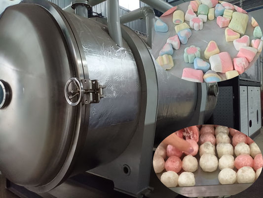 500 kg Secador de congelación de alimentos industriales Liofilante a gran escala para la transformación de alimentos