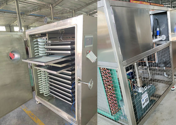 Máquina de congelación y secado de alimentos con vacío 300Kg