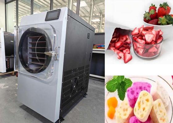 Sistema de vacío Bitzer Secador de congelación para el hogar pequeño para la industria farmacéutica