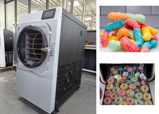 Compra de secador de congelación de caramelos y helados de chocolate Secadora de congelación de helados de chocolate Capacidad de 6 kg