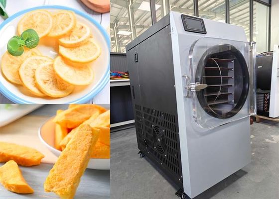 Calentador eléctrico de acero inoxidable 304 secador de alimentos congelado para uso doméstico