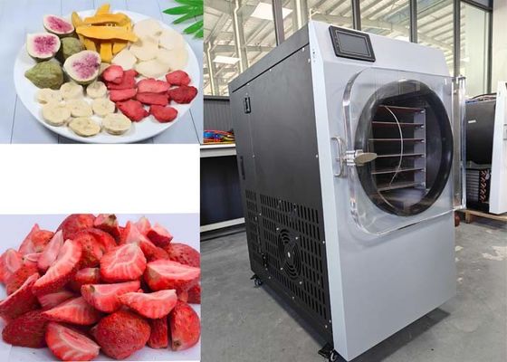Display LCD Secador de congelación para el hogar para la conservación y almacenamiento de alimentos en el hogar