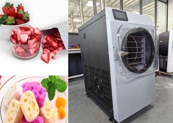Máquina de secado por congelación para el hogar