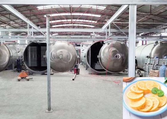 1000Kg de capacidad Secador de congelación automático industrial para aplicaciones alimenticias