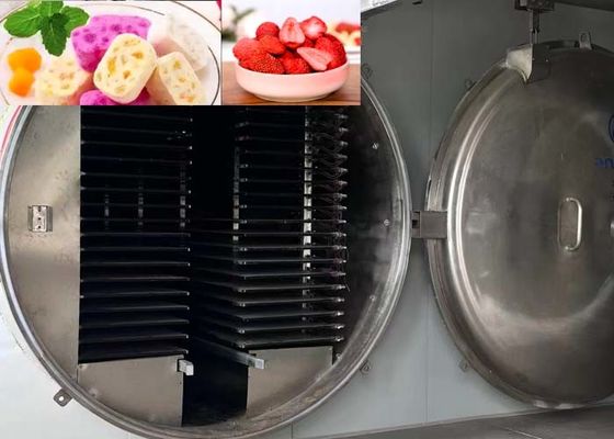 Secador de congelación industrial de alta capacidad 1000 kg/partido 13 Pa Nivel de vacío