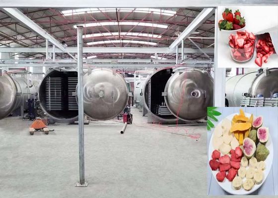 Secador industrial avanzado con PLC y sistema de control remoto