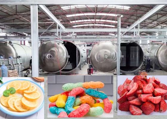 Máquina de secado por congelación con vacío de 1000 kg para productos farmacéuticos Tecnología avanzada de secado