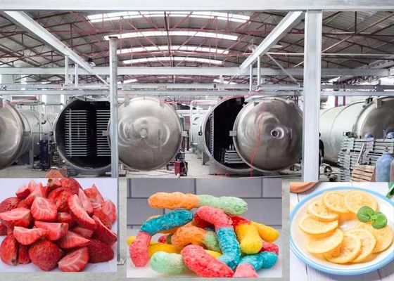 Máquina de secado por congelación industrial potente con modo de operación automático