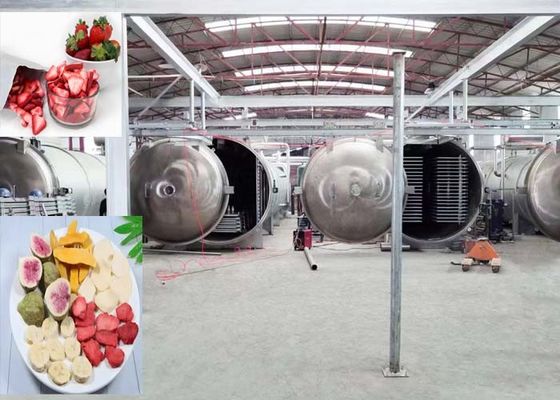 Máquina de secado por congelación con vacío de 1000 kg de uso industrial
