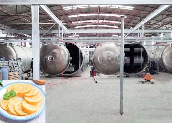 Gran liofilizador industrial 1000 kg/partido Capacidad
